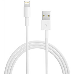 Apple MD818 Câble Lightning Original - 1m - Blanc (En Vrac)