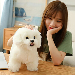 Avis Universal Simulacro mignon bichon fritz peluche