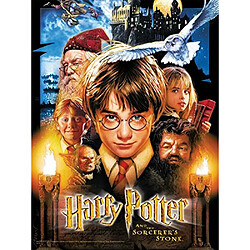 Avis USAOPOLY Puzzle en pierre Harry Potter et les sorciers (550 piAces)