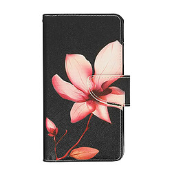 Avizar Étui Samsung A12 Clapet Multicompartiments Support Vidéo Fleurs de Prunier