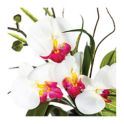 Atmosphera, Createur D'Interieur Composition d'orchidées blanches et roses - vase noir - Atmosphera