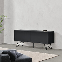 Commode Bollebygd à 2 Portes 47 x 110 x 30 cm Noir [en.casa]