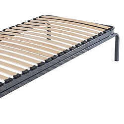 Acheter Ebac Lit en métal gigogne 80x190 - 20 lattes bois - Gain de place - Made in France