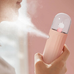 Pulvérisateur à Brouillard Skin Mini Nano-Spray Portable Visage Vaporisateur Facial Rose