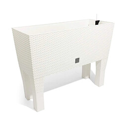 Pot de fleurs en rotin Prosperplast Rato Case DRTC800H S449 blanc