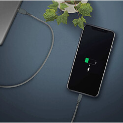 BIGBEN Câble Ultra-renforcé USB C/Lightning 1,2m 3A Garanti à vie Gris Force Power