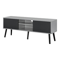 Meuble TV Eskilstuna 120 x 30 x 47 cm Noir Gris Clair [en.casa]