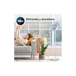 Ventilateur sur Pied Cecotec EnergySilence FanLamp