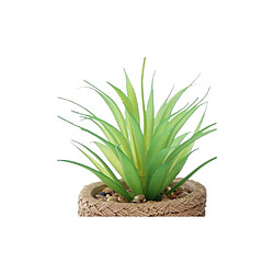 Sil Plante succulente en pot bicolore 8 x 15 cm (Lot de 4).