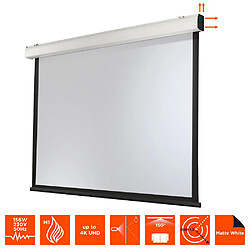 Acheter Ecran de projection celexon Motorisé Expert XL 450 x 340 cm