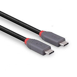 Avis Lindy 36956 USB cable