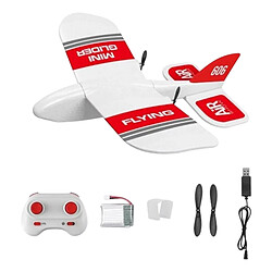 Planeur en mousse Avion volant RC 2.4G