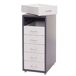 Decoshop26 Caisson à tiroirs armoire de bureau 69x28x41 cm 6 tiroirs en acier gris foncé blanc 04_0008260