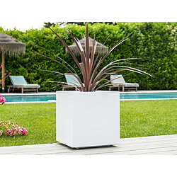 Jardinière carrée Graphit 39,5 x 39,5 x 43,5 cm - 35 L - Blanc cérusé - Eda pas cher