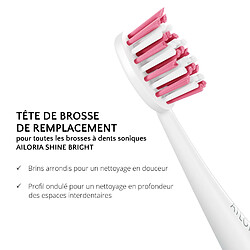 Avis Ailoria SHINE BRIGHT Têtes de brosse - lot de 12