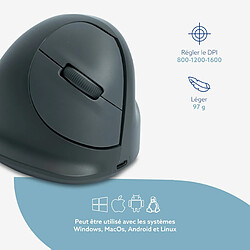 R-Go HE Basic Souris Ergonomique, Bluetooth 5.0, Rechargeable avec Type C/A cable, Prevention tendinite, Souris Ergo Verticale, Compatible avec Windows/Mac/Linux/Android, 1600DPI et 3 Boutons, Gris pas cher