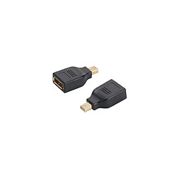 shiverpeaks BASIC-S Adaptateur Mini DisplayPort-DisplayPort ()