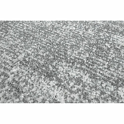 Avis Paris Prix Tapis Vintage Tissé à la Main Etna Gris & Argent 160 x 230 cm