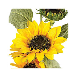 But Tournesol tige H80 cm Jaune