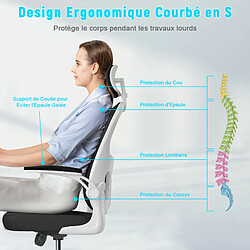 Acheter BIGZZIA Chaise de Bureau - Ergonomique Siège-Fauteuil avec 2D Accoudoirs, Hauteur Appui-tête Soutien Lombaire Dossier Règalable Blanc