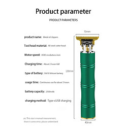 Acheter Tondeuse électrique professionnelle rechargeable Vert Herzberg HG04104-GRE