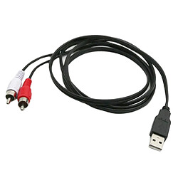 Câble USB vers 2 RCA Jack Splitter Audio Video AV Composite Câble Adaptateur pour TV/PC pas cher