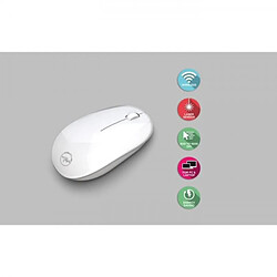 Acheter Souris Mobility Lab souris laser bluetooth pour Mac