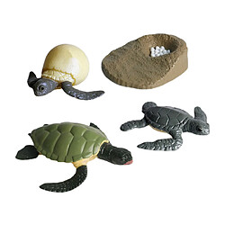 Acheter 4pcs Miniature Tortue De Mer Simulation Modèle Cycle De Croissance D'animaux Classiques