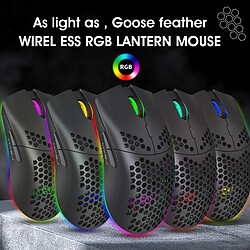 Yonis Souris Gaming Sans Fil Rechargeable RGB pas cher