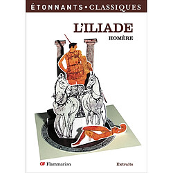 L'Iliade - Occasion