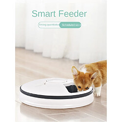 Universal Fournisseur chronologique circulaire Fournisseur automatique pour animaux de compagnie 6 repas 6 grilles Distributeur électrique de nourriture sèche pour chats et chiens Fournitures pour animaux de compagnie 24 heures sur 24 pas cher