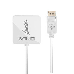 Lindy 41028 câble vidéo et adaptateur DisplayPort DVI-D + VGA (D-Sub) + HDMI Noir