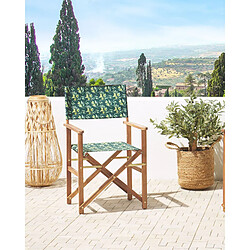 Beliani Chaise de jardin CINE Bois Vert foncé