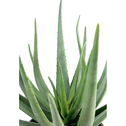 Pegane Plante artificielle haute gamme Spécial extérieur / Aloevera artificielle - Dim : 55 x 30 cm