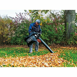 Scheppach Souffleur à feuilles LBH2600P 1,0 CH