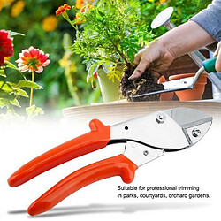 Sécateur à lame en acier Sk-5 élagage Snip jardinage sécateur à main Sk-5 lames en acier sécateur ciseaux branches coupe