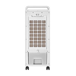 Avis Ardes ARCF02 appareil de chauffage Intérieure Noir, Blanc 2000 W Chauffage de ventilateur électrique