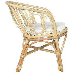 Avis vidaXL Chaise à manger avec coussin Rotin naturel et lin