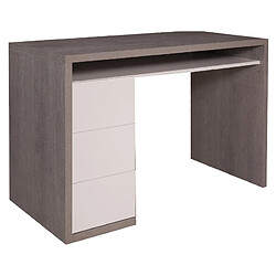 Avis Alter Bureau de bureau et d'étude, Table d'ordinateur Minimal, Bureau de travail avec 3 tiroirs, Fabriqué en Italie, 110x60h75 cm, Couleur Ciment et Blanc