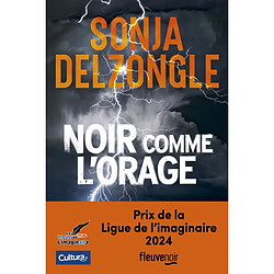 Noir comme l'orage - Occasion