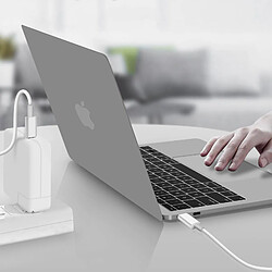 Acheter Câble USB-C Macbook / iPad Pro Power Delivery 100W 1m Original Apple Blanc