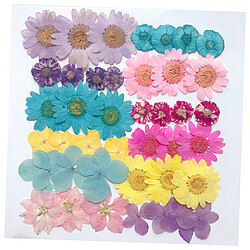 Acheter Fleurs Séchées Naturelles Scrapbooking Embellissements Artisanat Pour Décors D'art D'ongle