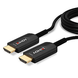 Câble HDMI LINDY 38380 Noir 10 m pas cher