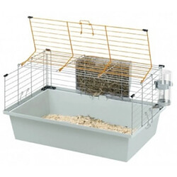 Ferplast Cage pour cochons d'Inde Cavie 80 77 x 48 x 42 cm 57054070