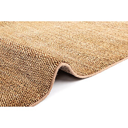 Acheter Vidal Tapis de laine 281x181 brun Juma