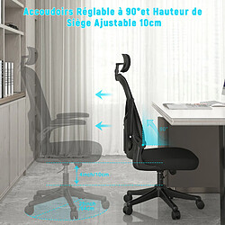 BIGZZIA Chaise de Bureau - Ergonomique Siège-Fauteuil avec 2D Accoudoirs, Hauteur Appui-tête Soutien Lombaire Dossier Règalable Noir pas cher