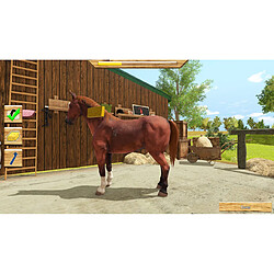 Big Ben Interactive My Little Riding Champion - Jeu Switch