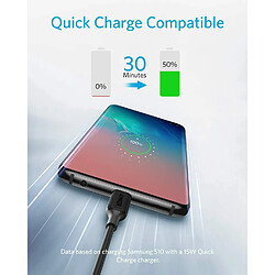 Câble USB Type C, Câble de Charge Rapide Anker Powerline III USB-A vers USB-C (3m), Compatible avec Les Samsung Galaxy S10 S9 Plus S8 Plus, LG V20 G7 G6 G5, Sony XZ et Plus