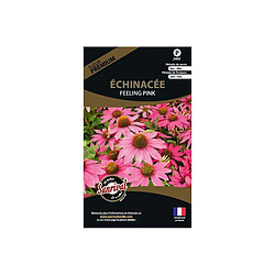 Sanrival Graines de fleurs premium échinacée Feeling pink annuelle