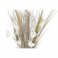 Branche DKD Home Decor Fibres de coco (2 pcs) (30 x 30 x 80 cm)